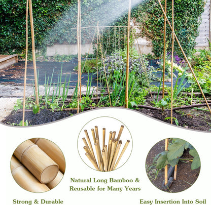 Plant Stakes 18inch, 20Pcs Natural Bamboo Sticks Garden Stakes, HAINANSTRY Plant Support Stakes for Indoor & Outdoor Plants, Orchid Tomato Vegetable Stakes for Garden