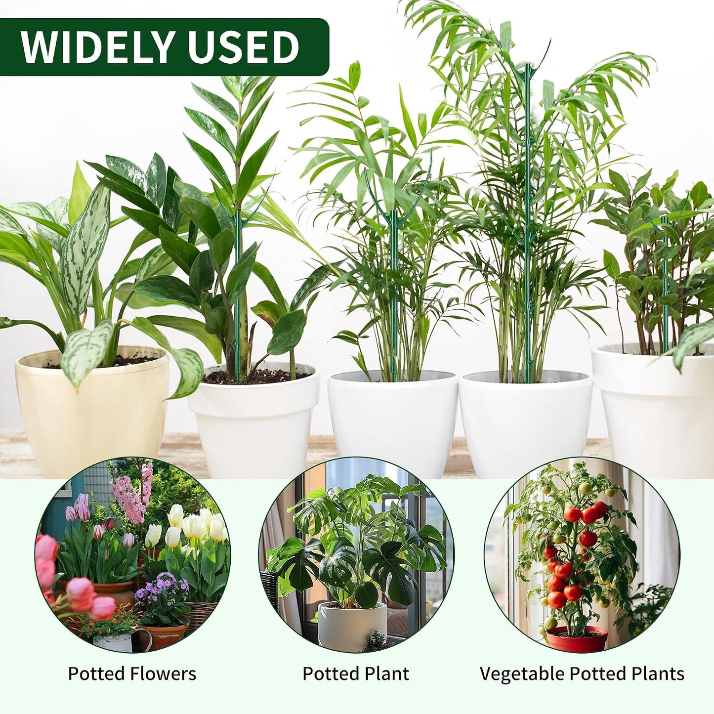 10 Pack Stackable Plant Support Stakes - Climbing Support for Indoor & Outdoor Use - Garden Accessories for Monstera, Pothos, Philodendron - Aesthetic Alternative to Moss Poles & Trellises