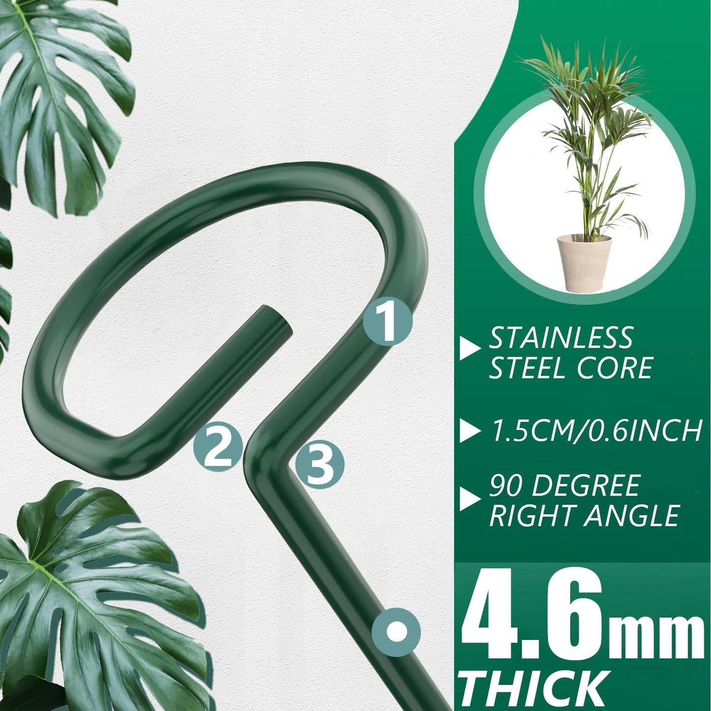 6 Pack 24 in Extendable Plant Support Stakes for Outdoor Plants and Flowers | Adjustable 12 to 24 Inch garden sticks for indoor outdoor, fits orchid, tomato, vegetables and monstera