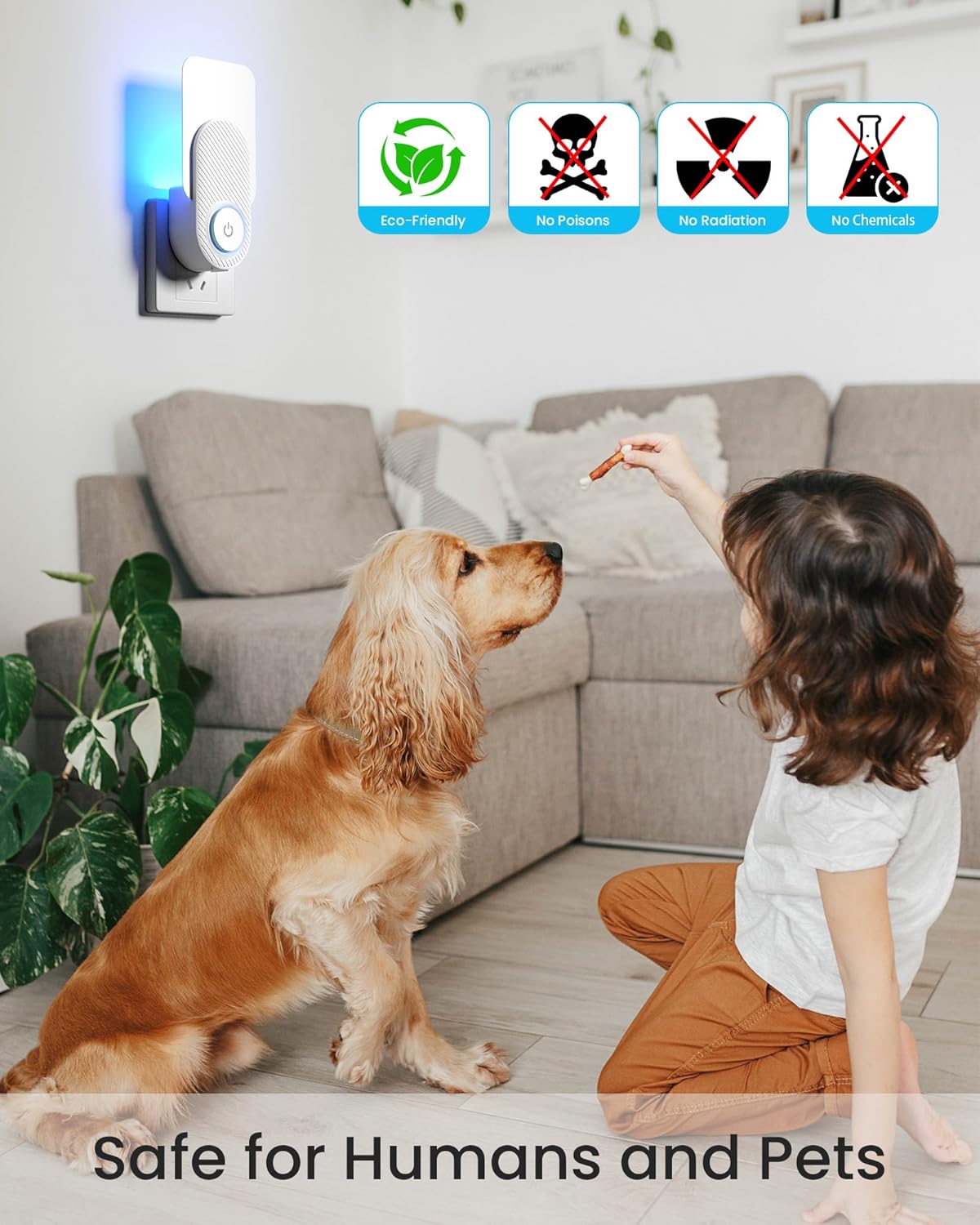 2026 Upgraded 2 Pack Plug-in Flying Insect Traps for Indoors & 10 Refill Cartridges - Fruit Fly Traps Bug Zapper with Purple UV Light Tech for House Flies, Fruit Flies, Gnats to Mosquito Trap (FT91)