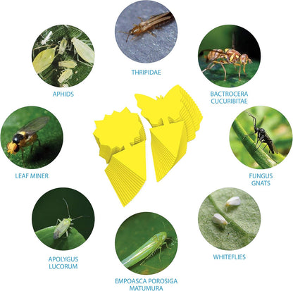 15 pcs Gnat Traps for House Indoor, Fungus Gnat Sticky Traps for Plants, Sticky Traps for Gnats - Plant Sticky Traps for Bugs, Sticky Fly Traps for Plants Trap Fungus Gnat, Fruit Fly and Other Insects