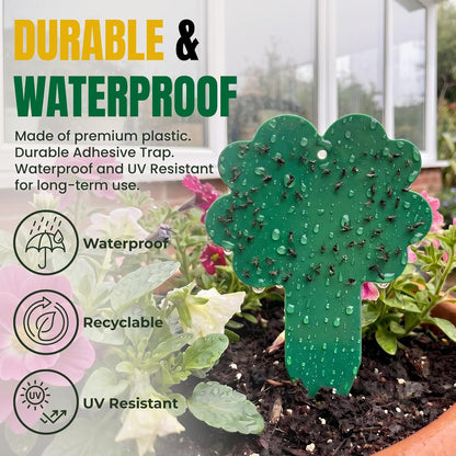 100 Pack Yellow & Green Sticky Gnat Traps for Plants - Fungus Gnat Killer, Fruit Fly Traps for Indoors, Gnat Sticky Traps for Plants, Family Friendly Design, Flower + Cloud Shapes
