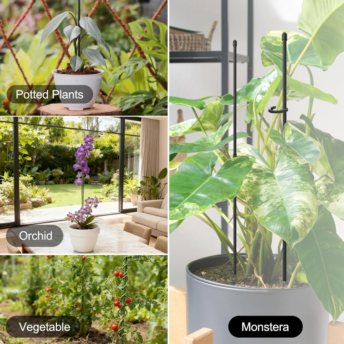 Plant Stakes for Indoor Plants, RIFNY 14 Inch Plant Support Stakes with Clips, Tall Adjustable Plant Sticks for Indoor Monstera Tomato Orchid Potted Plants Flower (6 PCS, Black)