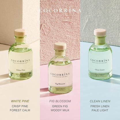 COCORRÍNA Eucalyptus Reed Diffuser Set of 3 - Eucalyptus & Moss, Clean Linen, Ocean Mist Scents, 1.7 fl oz Each, Total 5.1 oz, Scented Oil Diffusers for Home & Office