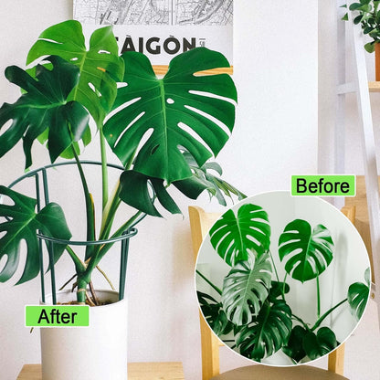HiGift Plant Support Stakes, 6 Pack Metal Peony Cages and Supports, Garden Stakes Plant Support Cage, Large Plant Support Ring for Outdoor Indoor Snake Plant Peony Rose Flowers Vine (10" W x 15.8" H)