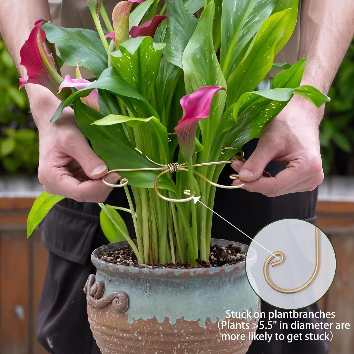 Yohsnor Monstera Plant Stem Support System - 5 Piece Set (5.5x4.7in) | Durable Plant Support Stakes for Climbing Plants & Fishbone Cactus | Ideal Leaf Stabilizer for Indoor Plants & Monstera Care