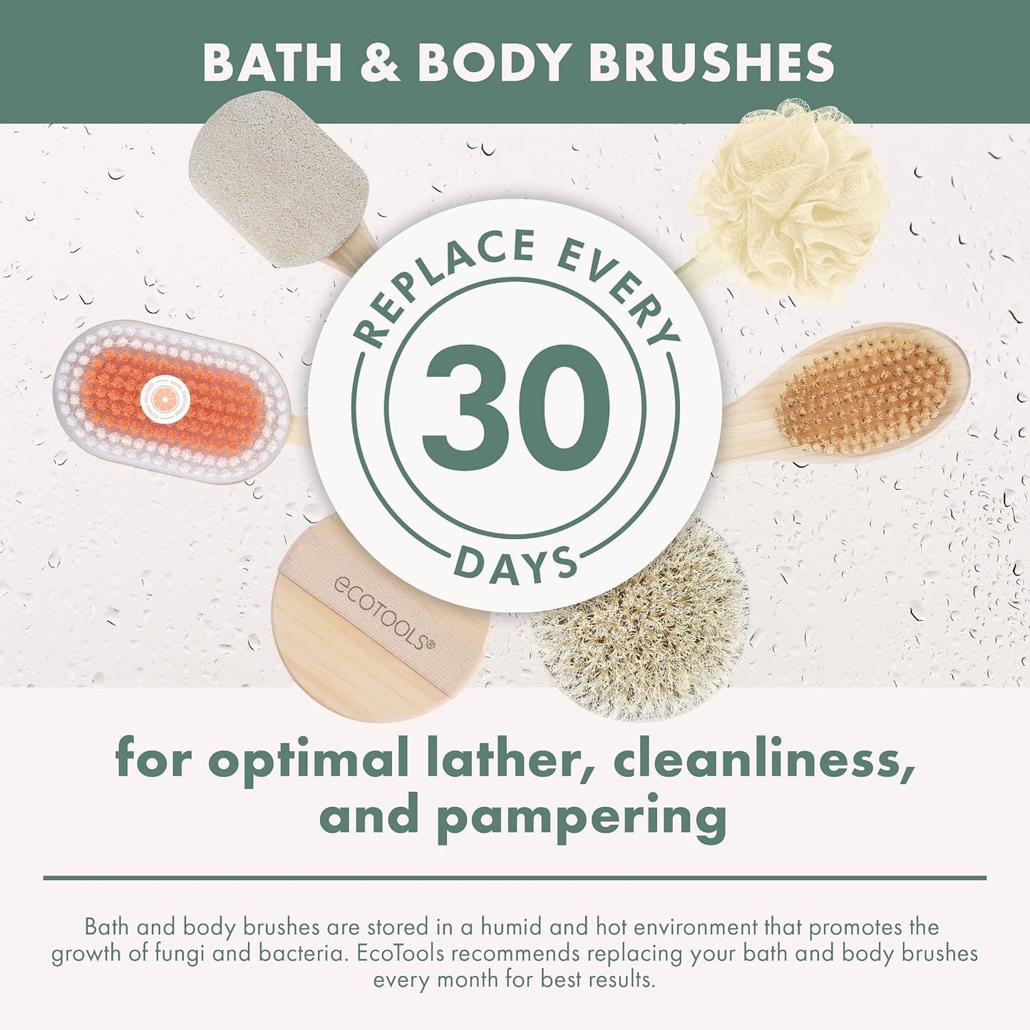 EcoTools Bath Bristle Brush, Bath Brush with Long Handle, Cleanse Back & Hard-to-Reach Areas, Eco Friendly Shower Brush for Exfoliating, Cruelty Free Nylon Bristles, Vegan, 1 Count