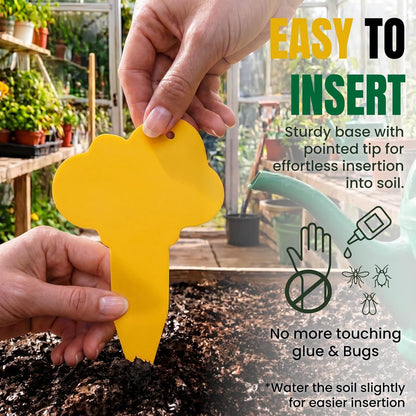100 Pack Yellow & Green Sticky Gnat Traps for Plants - Fungus Gnat Killer, Fruit Fly Traps for Indoors, Gnat Sticky Traps for Plants, Family Friendly Design, Flower + Cloud Shapes