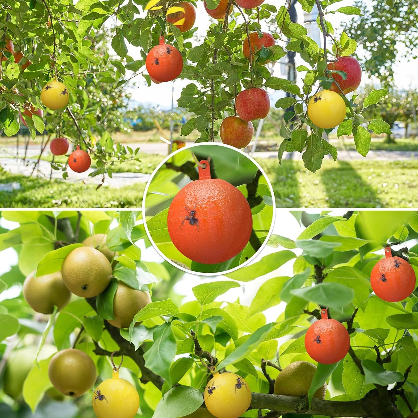 Qualirey 10 Pcs Sticky Fruit Fly Trap Ball Adhesive Fly Catching Ball Sticky Glue Fly Gnat Wasp Hornet Mosquito Bugs Flying Insects Trap Ball Traps (Yellow)