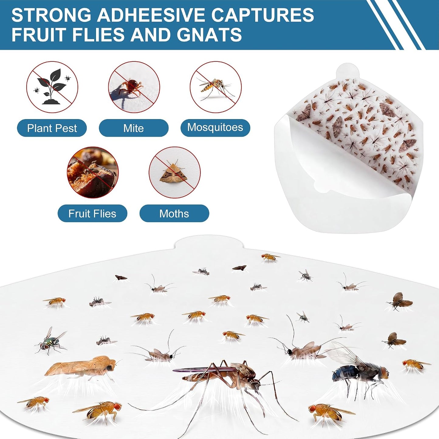 48 Pcs Fruit Fly Trap Refill Compatible with Fooxem IT10 Glue Board | CimoroWin 48 Pcs Refill Glue Boards, Replacement Sticky Pads for Indoor Moths, Gnats, Mosquitoes & Flying Insect Control