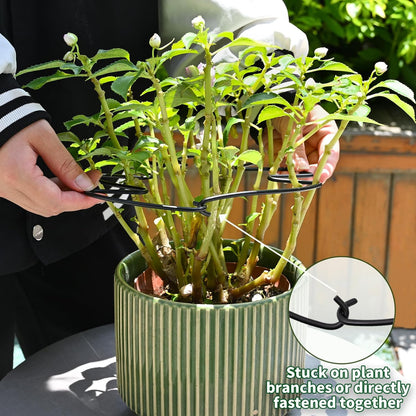 Yohsnor Monstera Plant Stem Support System - 5 Piece Set (5.5x4.7in) | Durable Plant Support Stakes for Climbing Plants & Fishbone Cactus | Ideal Leaf Stabilizer for Indoor Plants & Monstera Care