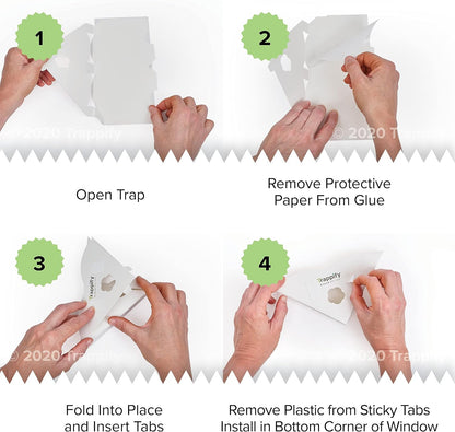 Trappify Window Fly Trap Indoor | Fruit Fly Traps for Indoors | Gnat Traps for House Indoor | Disposable Trap with Sticky Adhesive Strips | Bug Catchers (4 Pack)