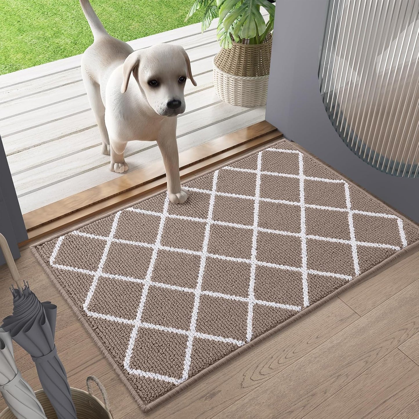 Finchitty Indoor Door Mat, Dirt Resistant and Absorbent, Low-Profile, Non-Slip, Washable Inside Floor Mats for Front Door, Back, and Entrance, 32" x 20", Grey