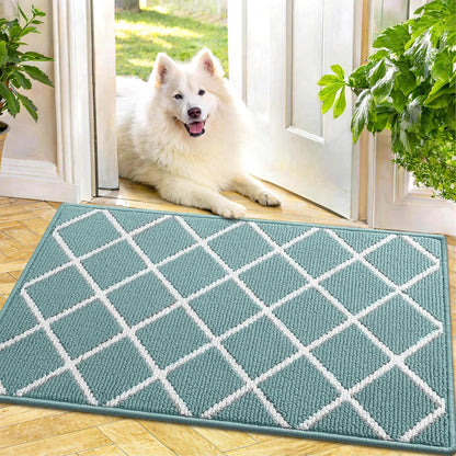 Finchitty Indoor Door Mat, Dirt Resistant and Absorbent, Low-Profile, Non-Slip, Washable Inside Floor Mats for Front Door, Back, and Entrance, 32" x 20", Grey