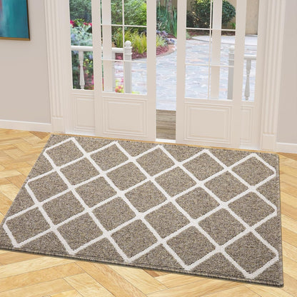 Finchitty Indoor Door Mat, Dirt Resistant and Absorbent, Low-Profile, Non-Slip, Washable Inside Floor Mats for Front Door, Back, and Entrance, 32" x 20", Grey