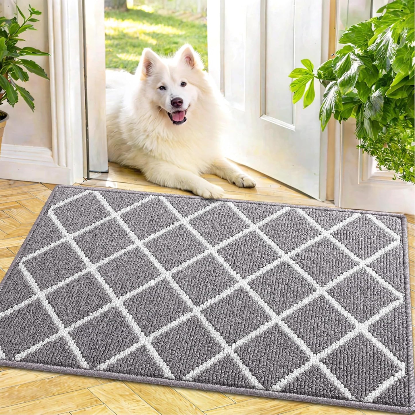 Finchitty Indoor Door Mat, Dirt Resistant and Absorbent, Low-Profile, Non-Slip, Washable Inside Floor Mats for Front Door, Back, and Entrance, 32" x 20", Grey