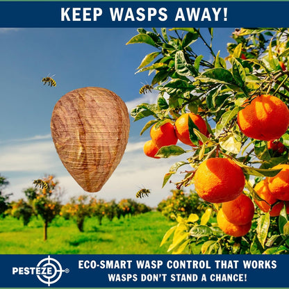 PESTEZE USA 2 Pack Hanging Wasp Nest Decoy [11.8 x 8.6 Inch]—Faux Wasp, Hornet and Yellow Jacket Deterrent for Outdoor Spaces. Simulated Rival Hives Help Prevent New Nests Without Any Harsh Chemicals