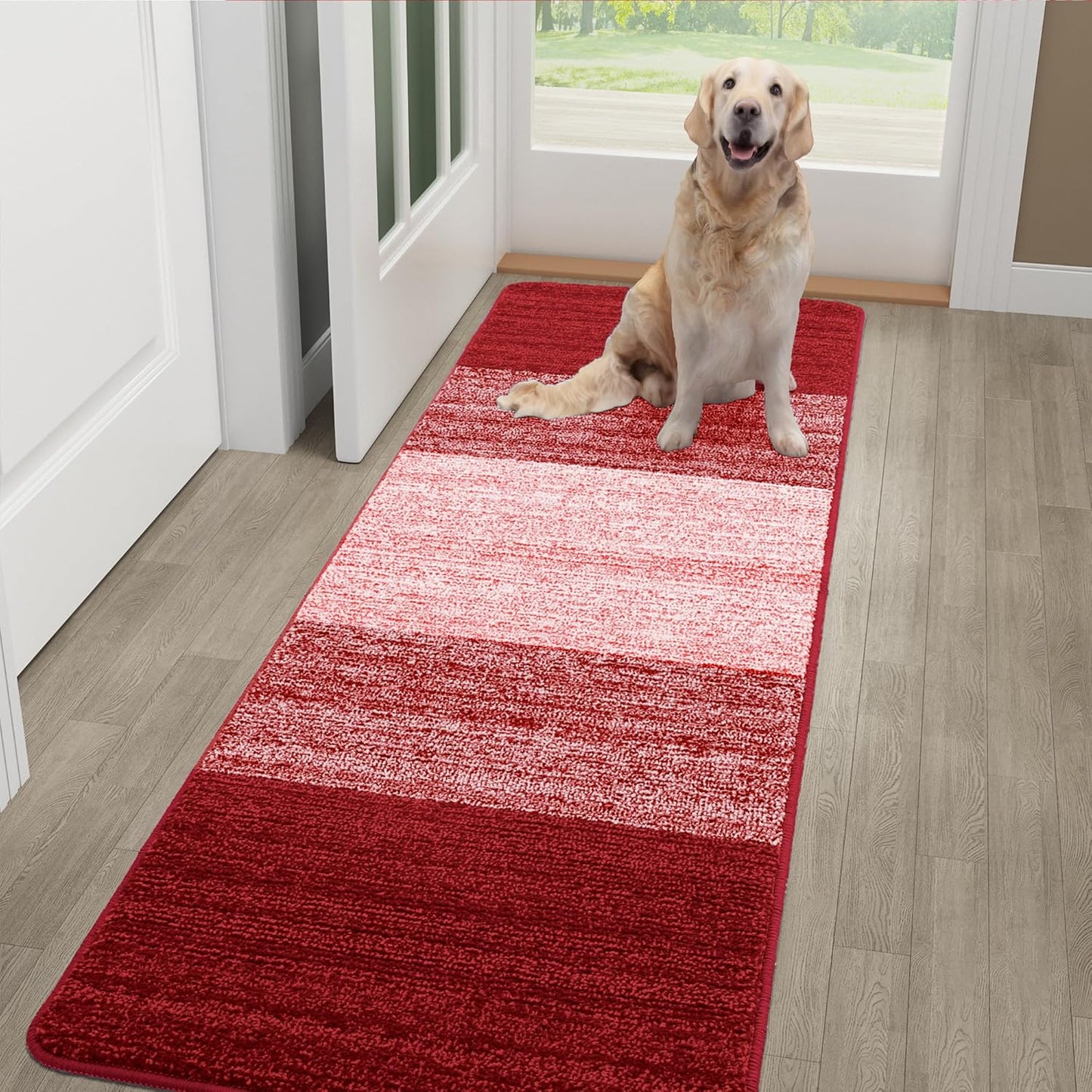 Kitinjoy Indoor Outdoor Door Mat, 32x20 Non-Slip Absorbent Dirt Trapper, Low-Profile Washable Inside Entrance Front Floor Mat, Sturdy Soft Entry Doormats for Entryway, Grey