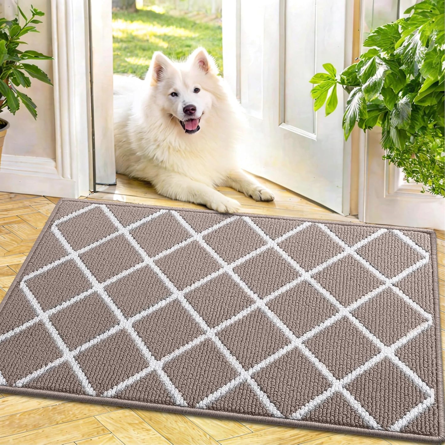 Finchitty Indoor Door Mat, Dirt Resistant and Absorbent, Low-Profile, Non-Slip, Washable Inside Floor Mats for Front Door, Back, and Entrance, 32" x 20", Grey