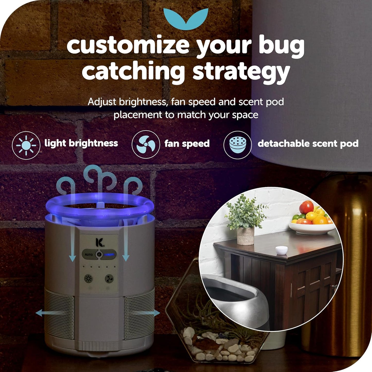 The Original Katchy Indoor Insect Trap - Fan Powered with UV Light - Fruit Fly Traps for Indoors - for Fruit Flies, Gnats, Mosquitoes, Moths (Black)