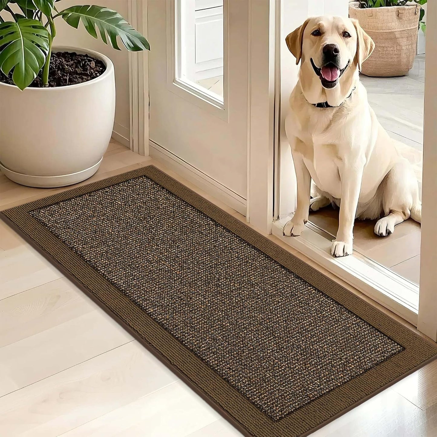 BEQHAUSE Indoor Door Mat 20" x 32", Dirt Trapper Door Mats Non-Slip Entryway Rugs Washable, Resist Dirt Absorbent Welcome Mat, Low Profile Floor Mats for Front Back Door and Entryway, Taupe