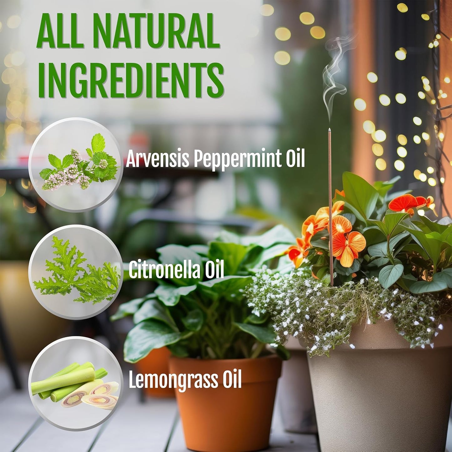 Mintronella USA Made Citronella & Peppermint Mosquito Repellent Incense Sticks – 100 Pack – Natural Bug & Insect Repellent – Outdoor Camping, Patio Decor – No‑See‑Um & Gnats, Fly