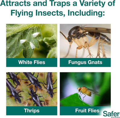 Safer Brand Home SH5026 Houseplant Sticky Stake Insect Traps for Indoor Plants - 16 Traps Included - Controls Aphids, Whiteflies, Fruit Flies, Fungus Gnats, and Other Insects