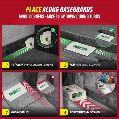 Catchmaster Max-Catch Mouse & Insect Glue Trap 36PK, Mouse Traps Indoor for Home, Sticky Pest Control Adhesive Tray for Catching Bugs, Bulk Unscented Glue Boards