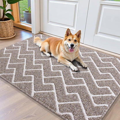 OLANLY Front Door Mat, Non-Slip Rubber Backing, Dirt Resistant and Absorbent, Washable, Easy to Clean Low-Profile Indoor Doormat for Back Door, Entryway, Inside Entrance, 32x20, Grey