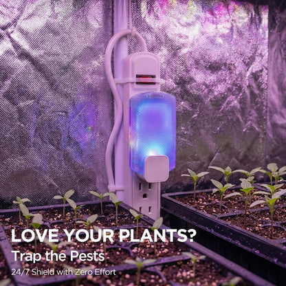 Fruit Fly Traps for Indoors(1 Device+5 Refills) for Fruit Flies, Gnats, Flying Insects, Moths, Bugs, Fungus, 3-in-1 UV/Blue/Yellow Light Plug-in Gnat Traps, No-Mess Bug Zapper, 7 * 24hrs Pest Control
