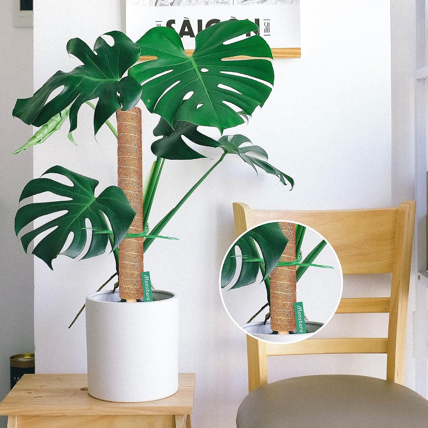 Augshy Moss Pole, 27 Inch Moss Poles - 2Pcs 17 Inch Plant Stakes Moss Sticks for Monstera Indoor Creepers Plant Support Extension Climbing Plants