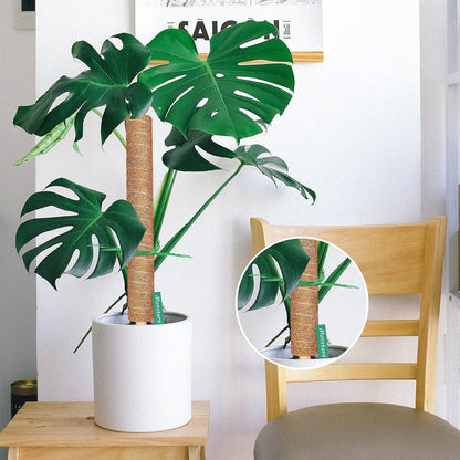 Augshy Moss Pole, 27 Inch Moss Poles - 2Pcs 17 Inch Plant Stakes Moss Sticks for Monstera Indoor Creepers Plant Support Extension Climbing Plants