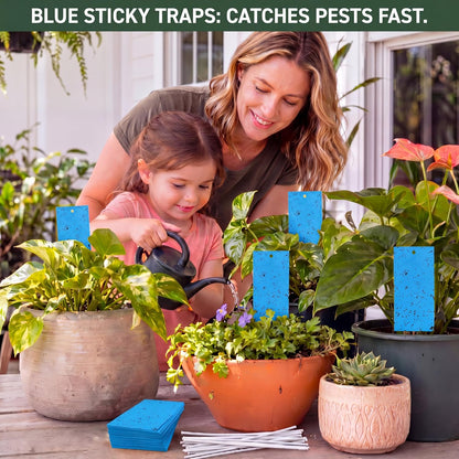 Qualirey 150 Pcs 7.8 x 3.9 Inch Yellow Sticky Traps for Plant Double Sided Sticky Trap for Gnats with Twist Ties Fly Traps for Fruit Insect Fungus Bugs Indoor Outdoor