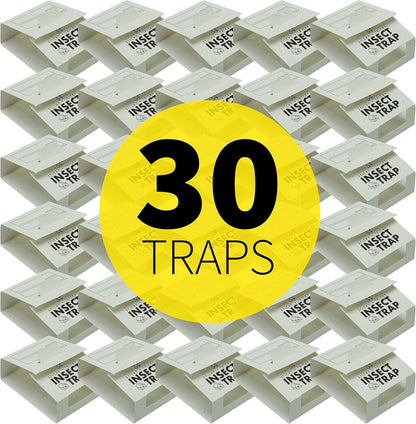 S&T INC. 30pk Insect Traps, Brown Recluse, Hobo Spiders, Black Widows, White, 30 Count