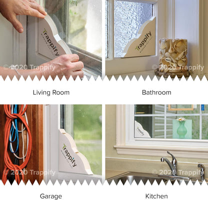 Trappify Window Fly Trap Indoor | Fruit Fly Traps for Indoors | Gnat Traps for House Indoor | Disposable Trap with Sticky Adhesive Strips | Bug Catchers (4 Pack)
