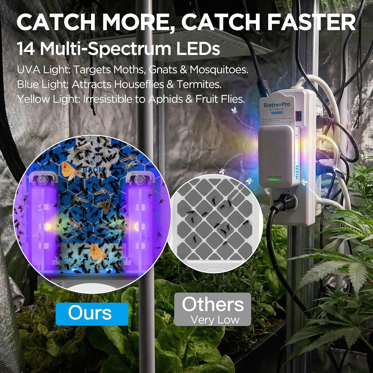 Flying Insect Traps+5 Refill Cartridges, 2026 2nd Gen, UV/Blue/Yellow Light Plug in Fly Trap & Indoor Bug Catcher for Gnats, No-Mess Bug Zapper, House & Fruit Flies, 7 * 24hrs Pest Control