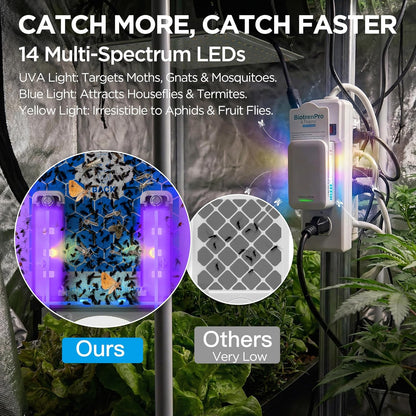 Flying Insect Traps+5 Refill Cartridges, 2026 2nd Gen, UV/Blue/Yellow Light Plug in Fly Trap & Indoor Bug Catcher for Gnats, No-Mess Bug Zapper, House & Fruit Flies, 7 * 24hrs Pest Control