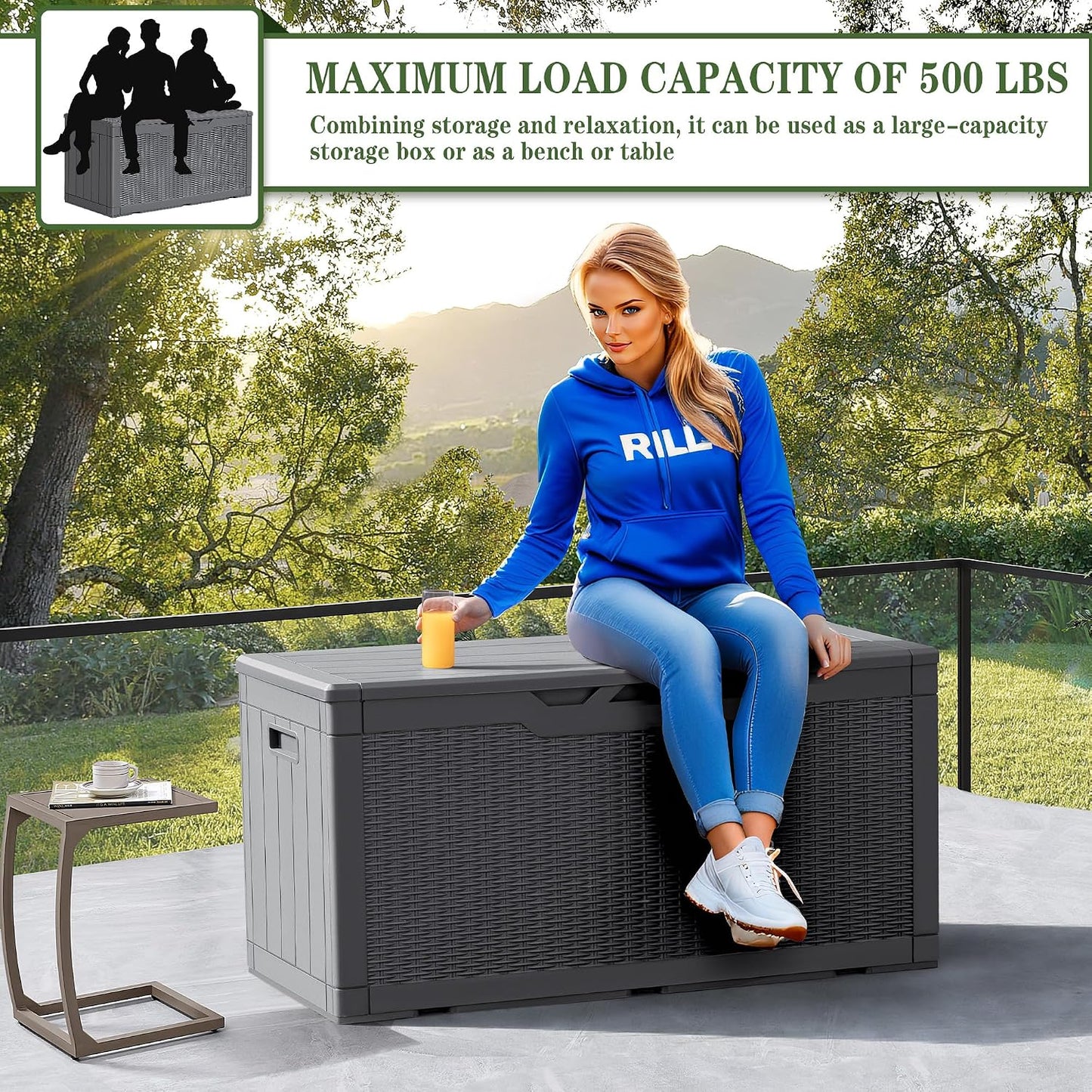 Greesum Outdoor Storage Box 31 Gallon Storage Box with Lid for Patio Furniture, Garden Tools, Pool Supplies, Waterproof and UV Resistant, Lockable, Dark Black