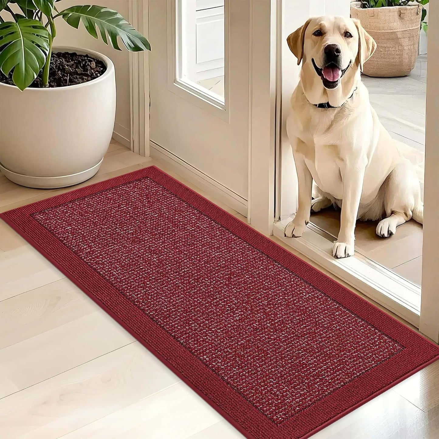 BEQHAUSE Indoor Door Mat 20" x 32", Dirt Trapper Door Mats Non-Slip Entryway Rugs Washable, Resist Dirt Absorbent Welcome Mat, Low Profile Floor Mats for Front Back Door and Entryway, Taupe