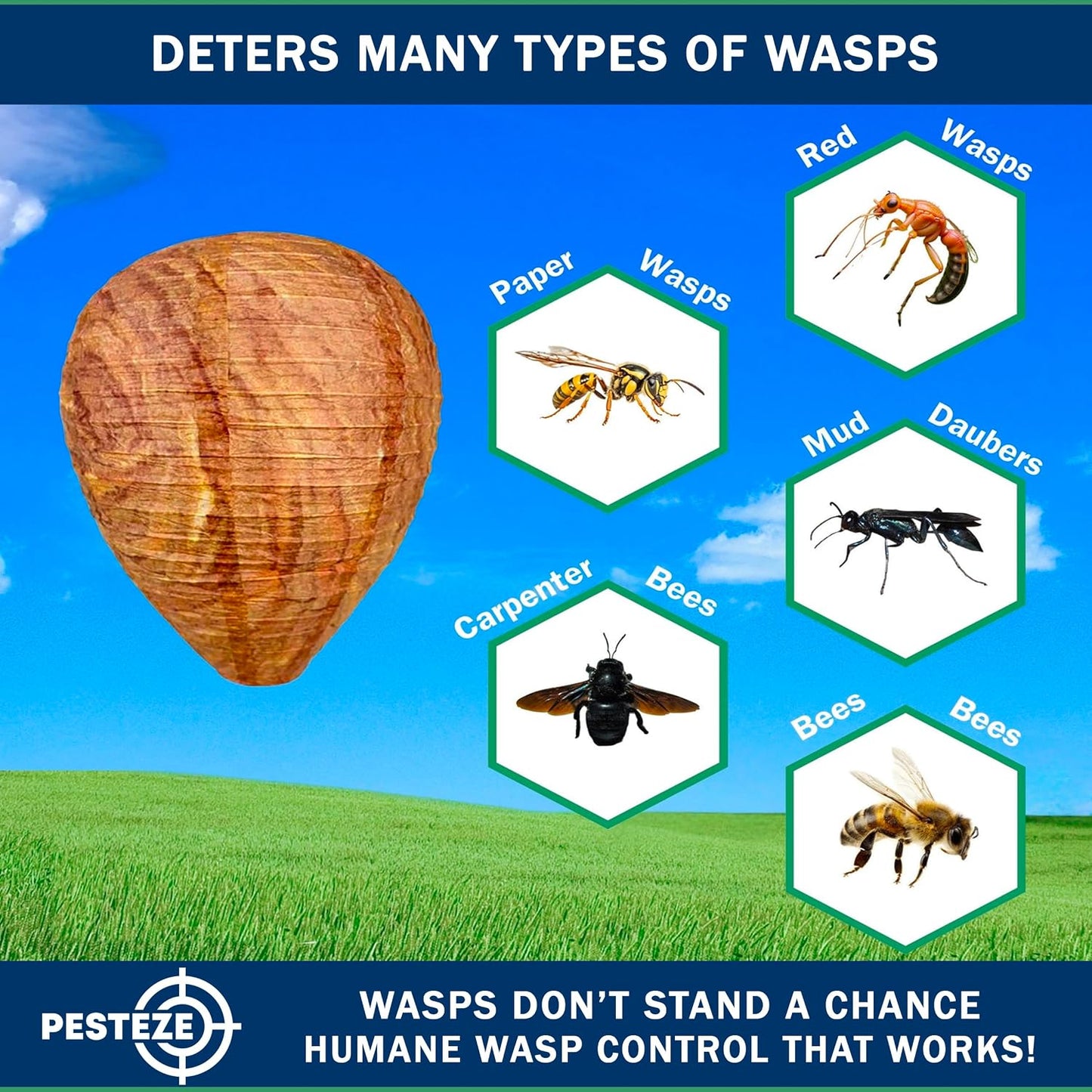 PESTEZE USA 2 Pack Hanging Wasp Nest Decoy [11.8 x 8.6 Inch]—Faux Wasp, Hornet and Yellow Jacket Deterrent for Outdoor Spaces. Simulated Rival Hives Help Prevent New Nests Without Any Harsh Chemicals