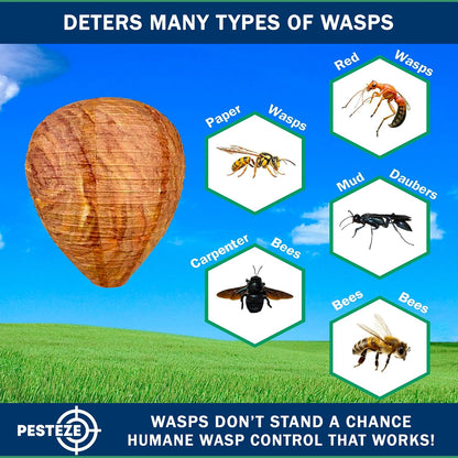 PESTEZE USA 2 Pack Hanging Wasp Nest Decoy [11.8 x 8.6 Inch]—Faux Wasp, Hornet and Yellow Jacket Deterrent for Outdoor Spaces. Simulated Rival Hives Help Prevent New Nests Without Any Harsh Chemicals