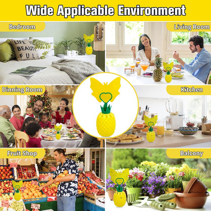Fruit Fly Trap for Indoors, Effective Fruit Fly Catcher Gnat Killer with Sticker, Gnat Traps for House Indoor with Bait, Non-Toxic Reusable Easy to Use Fly Trap for Kitchen Home-2 Pack