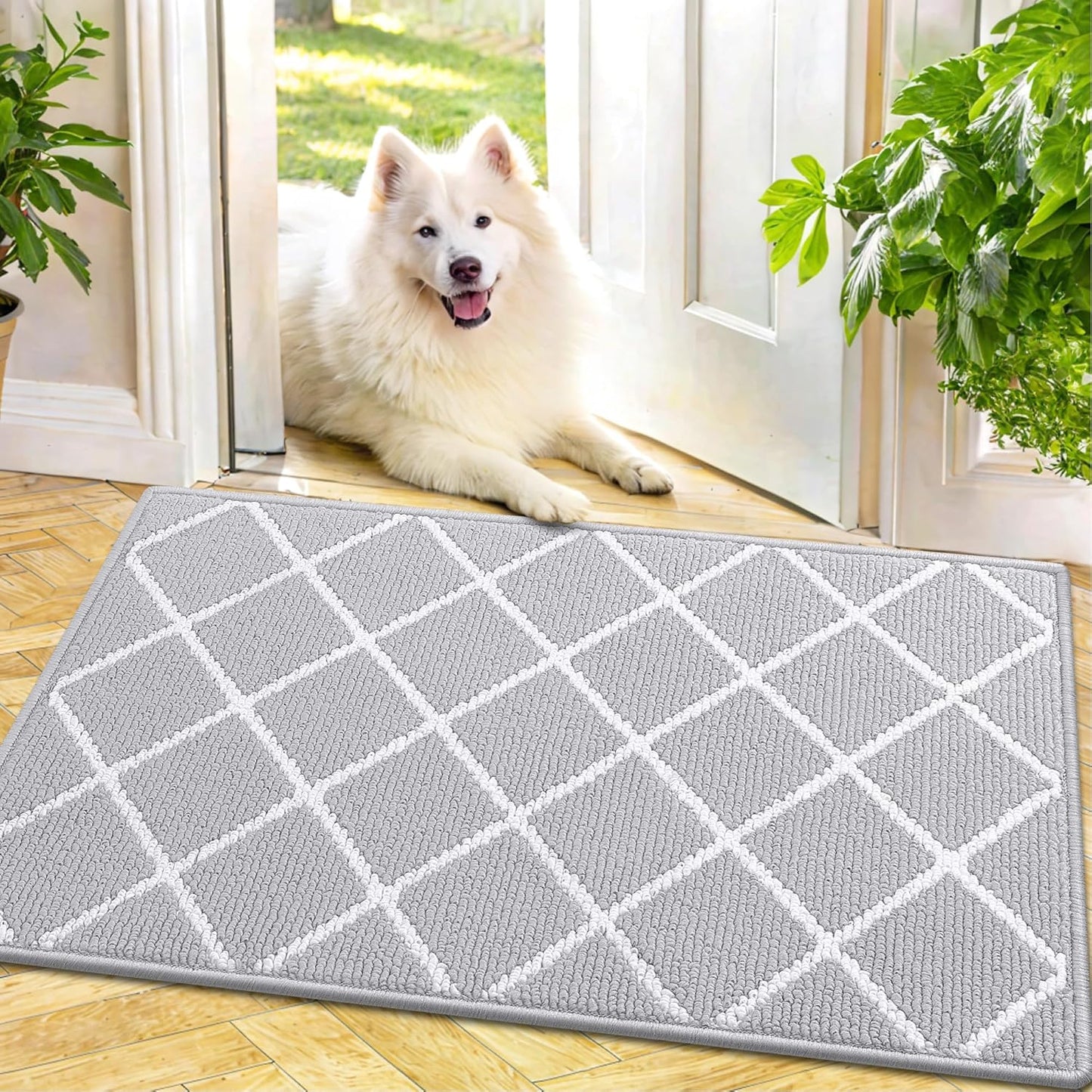Finchitty Indoor Door Mat, Dirt Resistant and Absorbent, Low-Profile, Non-Slip, Washable Inside Floor Mats for Front Door, Back, and Entrance, 32" x 20", Grey