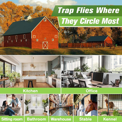 Qualirey 30 Pack XL Window Fly Traps for Indoors, Extra Large Fly Paper Sticky Strips, Waterproof & Non Toxic Clear Sticky Traps for Windows, Bug Catcher for House, Kitchen and Office(15"×3")