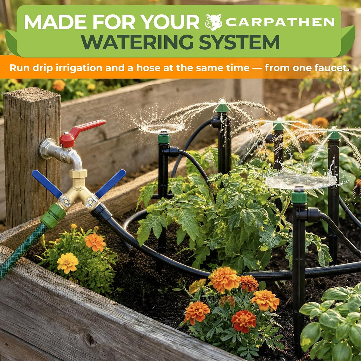 CARPATHEN Brass Hose Splitter 2 Way Heavy Duty - Solid Brass Garden Hose Splitter, Y Valve Water Connector with Long Handles, Full Flow 3/4 Inch GHT Thread for Outdoor Faucet and Spigot, Leak-Proof