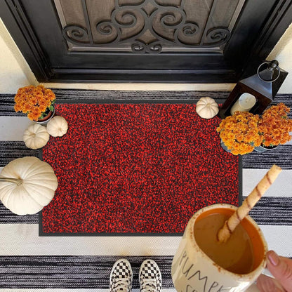 Mibao Front Door Mat, Dirt Trapper Welcome Mat for Outdoor Indoor, Non-Slip Waterproof Doormat, Durable Machine Washable Low Profile Entry Rug for Back Door Outside Patio Porch, 29.5" x 17", Grey