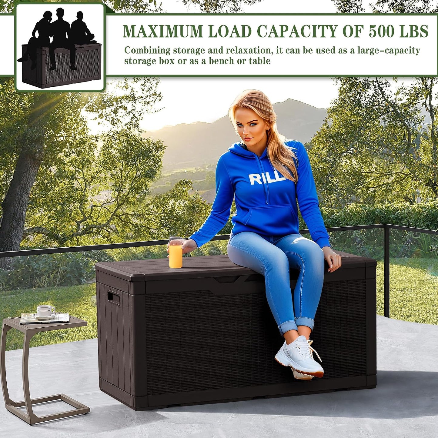Greesum Outdoor Storage Box 31 Gallon Storage Box with Lid for Patio Furniture, Garden Tools, Pool Supplies, Waterproof and UV Resistant, Lockable, Dark Black