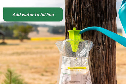 RESCUE! Big Bag Fly Trap – Disposable, Outdoor Use - 3 Traps