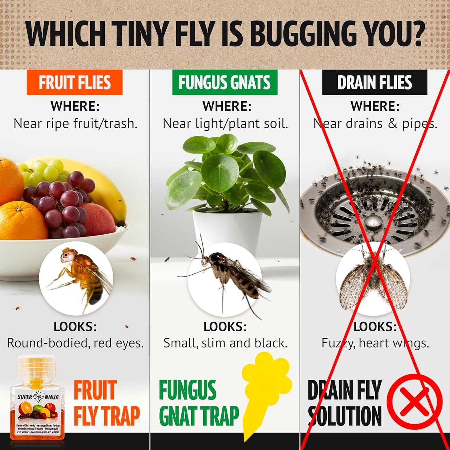 Super Ninja Fruit Fly Traps for Indoors - 4 Pack, Highly Effective Fruit Fly Catcher for Indoor Use for Home & Kitchen, Up to 3 Weeks of Performance per Bottle, Kid & Pet Friendly