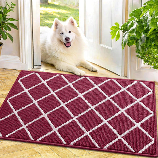 Finchitty Indoor Door Mat, Dirt Resistant and Absorbent, Low-Profile, Non-Slip, Washable Inside Floor Mats for Front Door, Back, and Entrance, 32" x 20", Grey